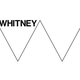 Image for article titled The Age of the Anti-Logo: Why Museums Are Shedding Their Idenities